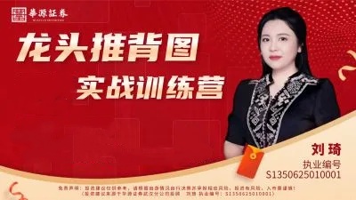 刘琦龙头推背图龙头掘金03期小班课 集合竞价实战演练教程