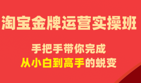 飓风电商淘宝金牌运营实操班 2026 搜索万相台无界爆款精细化运营课