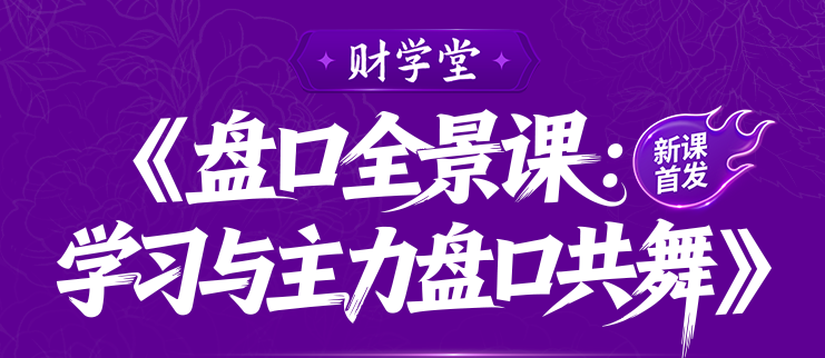分时盘口技法实战教程 早盘拉升尾盘涨跌涨停形态风控教学.png